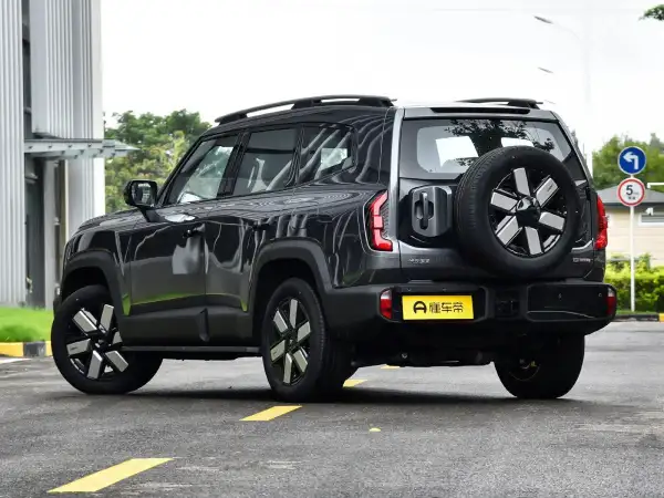 2024 Shenlan G318