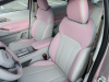 Geely Geometry E