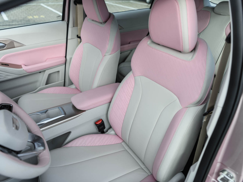 Geely Geometry E